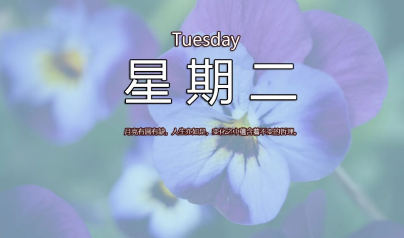 11月12日，星期二，在这里每天60秒读懂世界！-爱分享资源网