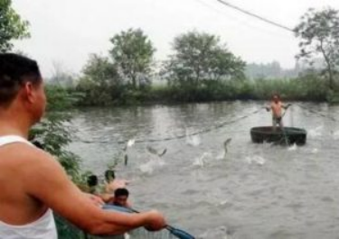 图片[1]-暴利项目：惊人的利润，一天赚几千块！
