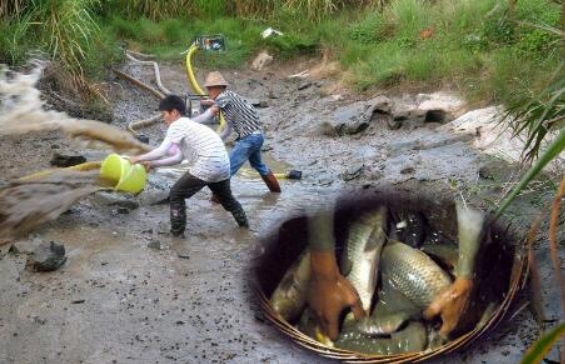 不起眼的偏门赚钱门路，农村小伙靠抓鱼3月赚5万-爱分享资源网