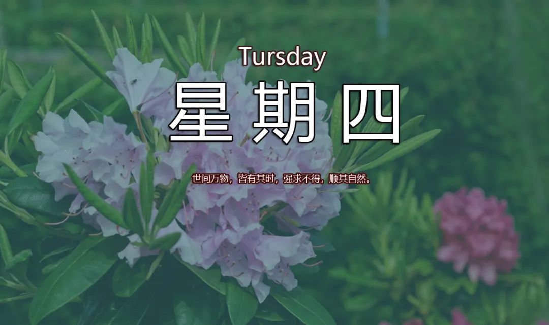 11月28日，星期四，在这里每天60秒读懂世界！-爱分享资源网