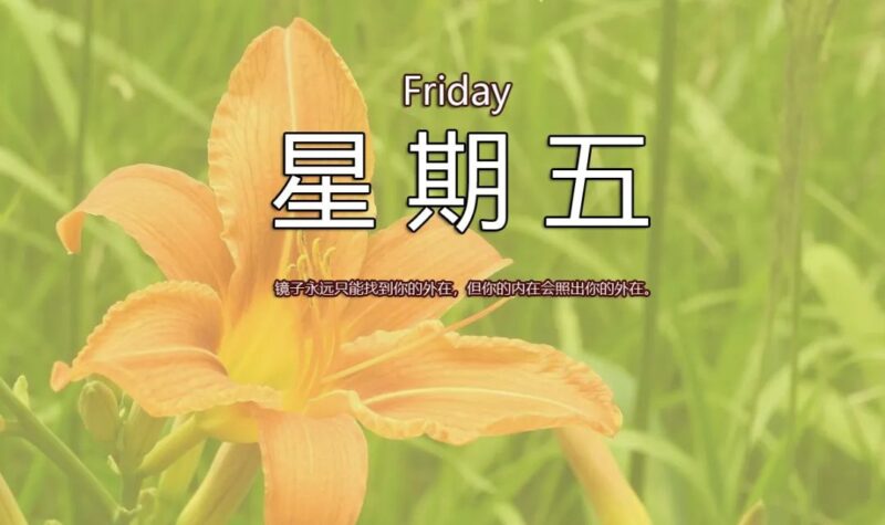 11月29日，星期五，在这里每天60秒读懂世界！-爱分享资源网