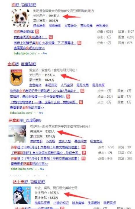 图片[2]-偏门项目：卖训狗教程月赚万元