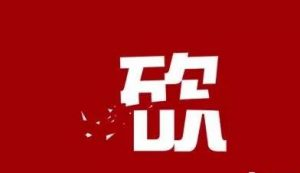 如何利用拼多多官方砍价活动引流月赚数万