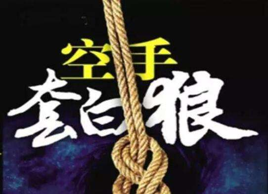 互联网空手套白狼赚钱
