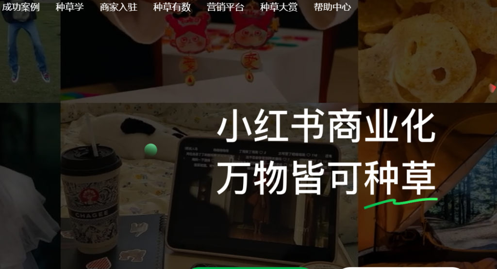 图片[1]-短视频变现新机遇：选择对的平台_精准服务商家需求-爱分享资源网