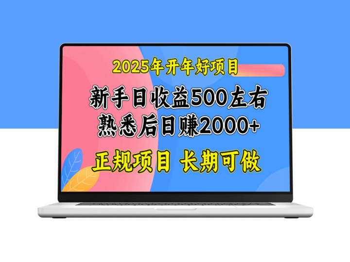2025年开年爆发_单号日赚2000元的超值项目-爱分享资源网