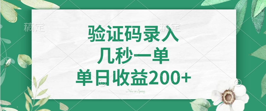 图片[1]-极速验证码录入_赚取200+_实现高效收益