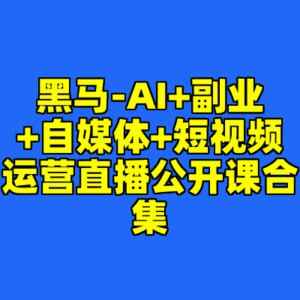 黑马战略：AI赋能副业、自媒体与短视频运营直播实战课程全集-爱分享资源网