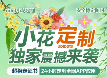 苹果多开无限制_0掉签+自定义图标_体验全新定制服务