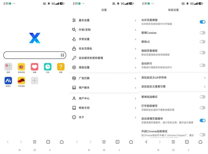 X浏览器谷歌版：全面解析与资源嗅探技巧