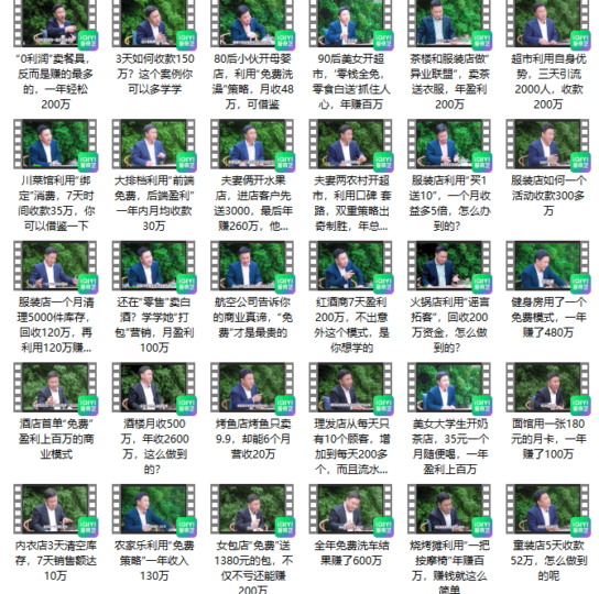 揭秘391种商业模式，年赚数百万的成功秘诀！