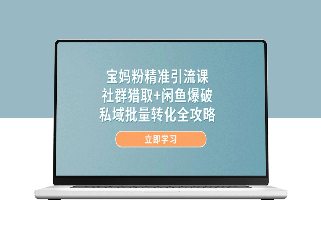 宝妈粉丝精准引流秘籍：社群营销+闲鱼爆破_私域转化全攻略