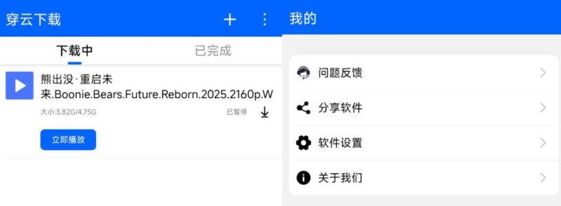突破下载限制，穿云App助你畅享极速磁力下载体验