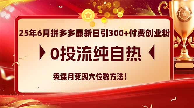 图片[1]-25年6月拼多多引流策略：0投流、纯自热、卖课月入六位数的赚钱