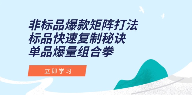 非标品爆款矩阵策略：标品复制加速器与单品爆量组合全攻略-爱分享资源网