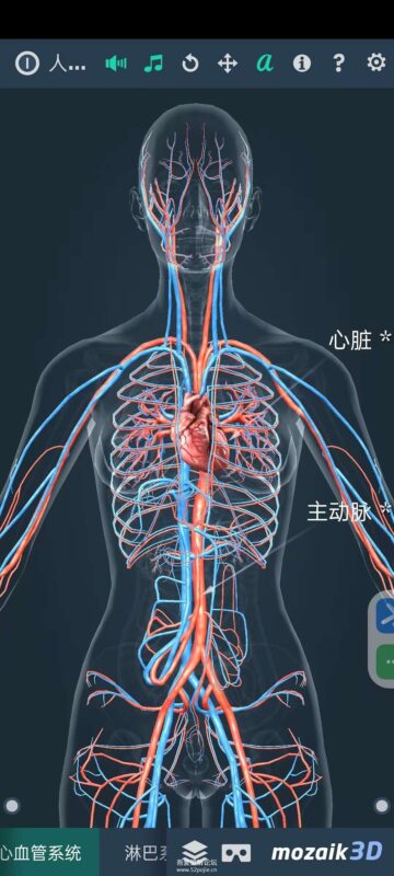 [Android] 人体解剖系统女性3D V 1.0-深入探索女性身体结构与功能