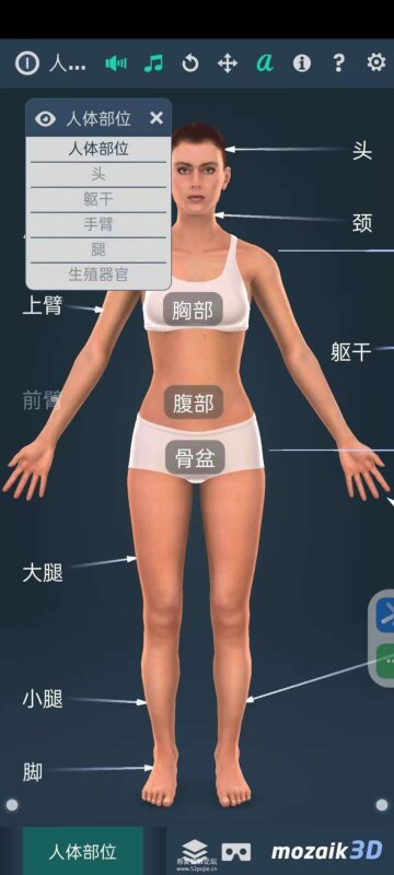 图片[3]-[Android] 人体解剖系统女性3D V 1.0-深入探索女性身体结构与功能