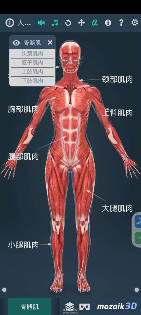 图片[4]-【Android】女性人体解剖系统3D V1.0 - 全面解析女性身体结构