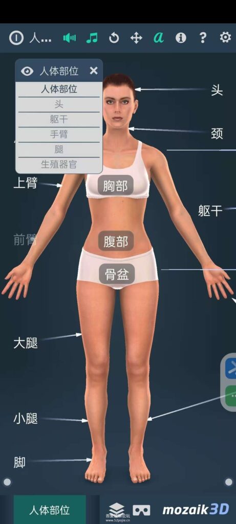 图片[3]-【Android】女性人体解剖系统3D V1.0 - 全面解析女性身体结构