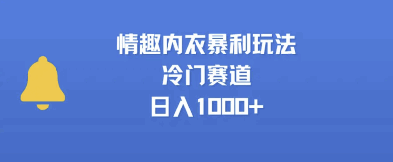 情趣内衣新玩法_冷门赛道日赚1000+_背后的商机-爱分享资源网