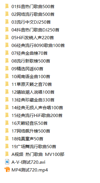 2025柏林之声车载U盘【41GB】限量版-超大容量-高品质音效-车主必备
