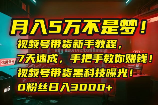 月入5万不是梦_视频号带货新手7天速成秘籍_轻松打造赚钱之路-爱分享资源网