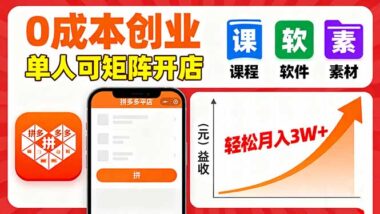 虚拟玩法新风口：拼多多矩阵操作-实现高利润-爱分享资源网