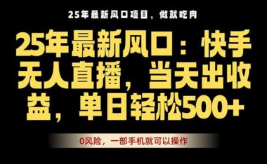 2025快手无人直播：解决三大痛点-当天见收益-爱分享资源网