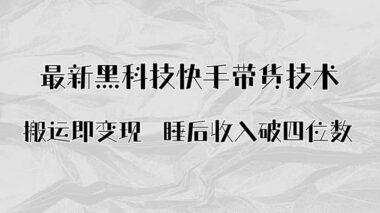 快手带货全攻略：从入门到精通-赚取佣金