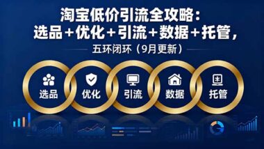 淘宝商家逆袭指南：低价引流+售后管理_打造爆款店铺-爱分享资源网