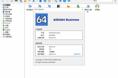 AIDA64 Business 8.00.8000 官方便携版下载-快速诊断系统性能-优化电脑运行-爱分享资源网