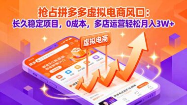 多多虚拟电商-单人运营也能年赚百万-爱分享资源网