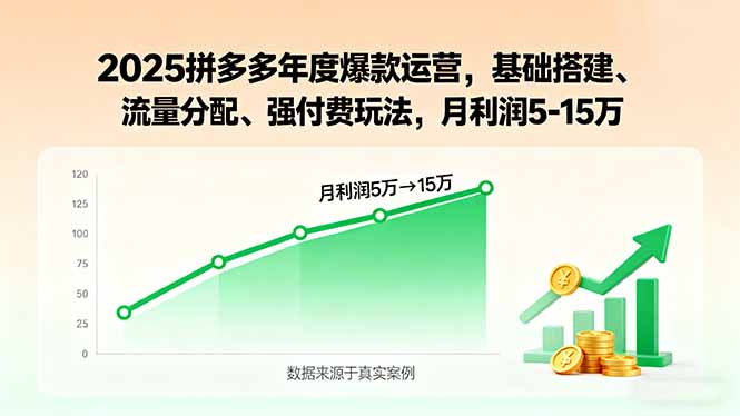 2025拼多多运营全攻略：从入门到精通-月利润5万起-爱分享资源网