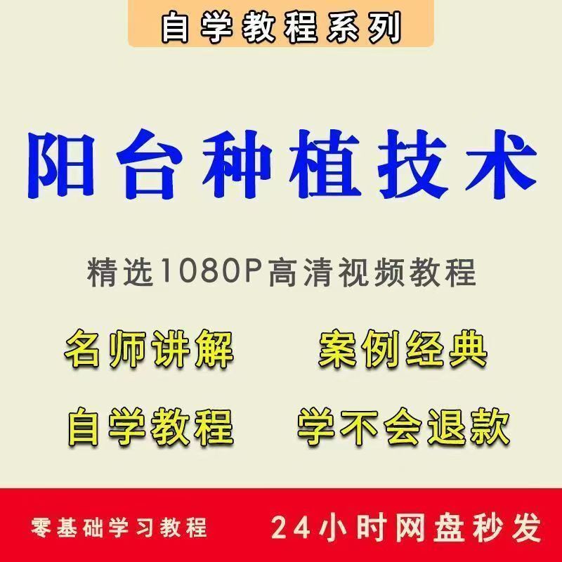 图片[1]-零食品带货+建筑施工动画+篮球系统训练+拉丁舞教程+电子琴学习-五大热门视频课程