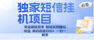 全新电脑挂机项目：短信自动发-营销推广新利器