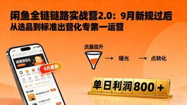闲鱼变现3.0：13节课-让你订单量爆表的实战课-爱分享资源网