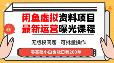 闲鱼创业指南：虚拟资料销售-零基础也能赚翻天-爱分享资源网