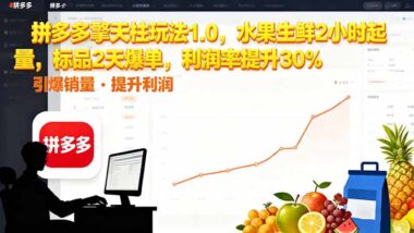 【拼多多擎天柱玩法1.0】水果生鲜2小时速达-标品2天爆单-利润率暴涨30%