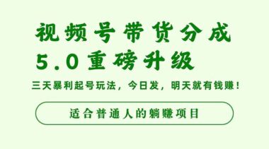 零粉零门槛-视频号带货全流程代运营-爱分享资源网