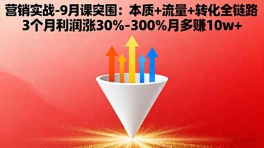 中小企业营销突围战：从0到1的实战秘籍-爱分享资源网