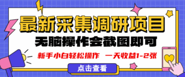 【新版采集调研项目】截图上传即可-日赚1-2张-操作简单收益高-爱分享资源网