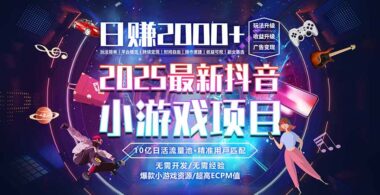 2025年度风口项目：稳定高收益-小白轻松入门-收入有保障