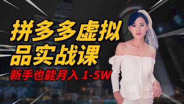 2025创业新风口-拼多多虚拟电商-小白也能轻松月入5W-爱分享资源网