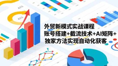 外贸社媒营销宝藏课-带你玩转流量与成交