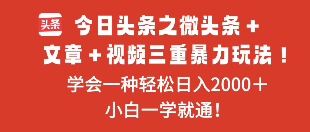 图片[1]-今日头条微头条+文章+视频玩法-轻松日赚2000+