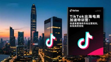 TikTok出海全攻略：选品、运营、营销_一站式搞定