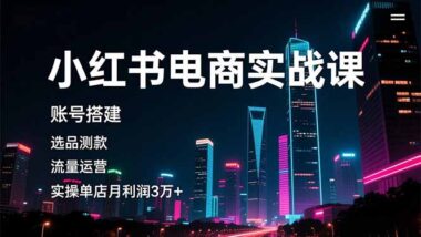 小红书电商实战全攻略：多账号矩阵+流量获取-变现超简单-爱分享资源网