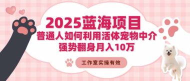 3人团队月入20万-揭秘冷门宠物中介项目玩法