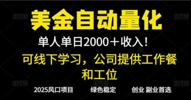 2025爆款美金量化新风口-单人日赚1000+ 线下实操+实地考察双保障-爱分享资源网