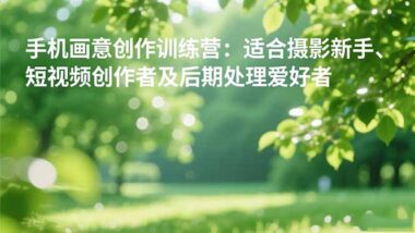 手机摄影创作训练营：轻松掌握画意风格-适合新手-短视频创作者和后期爱好者